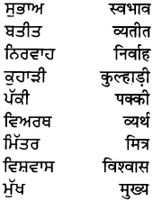 PSEB 5th Class Hindi Grammar Vyakaran 41