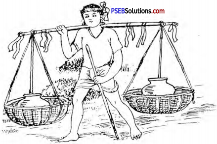PSEB 5th Class Hindi Solutions Chapter 16 श्रवण कुमार 1