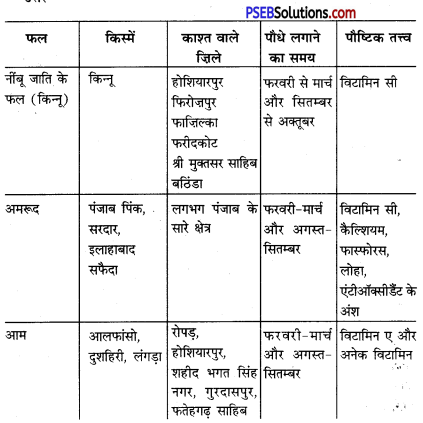 PSEB 6th Class Agriculture Solutions Chapter 7 पंजाब के मुख्य फल 1