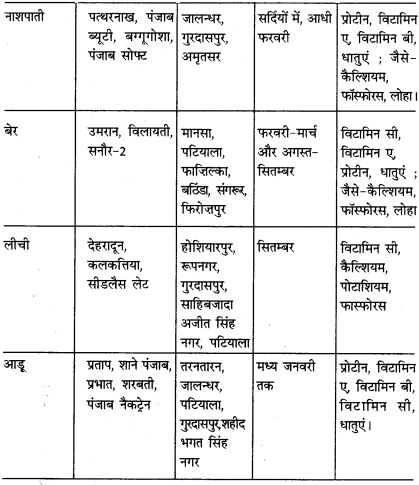 PSEB 6th Class Agriculture Solutions Chapter 7 पंजाब के मुख्य फल 2