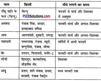 PSEB 6th Class Agriculture Solutions Chapter 7 पंजाब के मुख्य फल 3