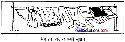 PSEB 6th Class Home Science Solutions Chapter 7 सूती कपड़ों की धुलाई 1