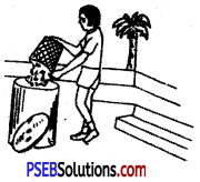 PSEB 6th Class Physical Education Solutions Chapter 2 सफ़ाई तथा सांभ-सम्भाल 1