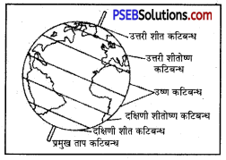 PSEB 6th Class Social Science Solutions Chapter 2 ग्लोब – पृथ्वी का मॉडल 2