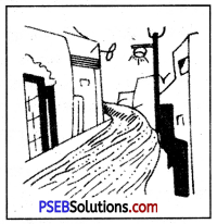 PSEB 6th Class Social Science Solutions Chapter 20 ग्रामीण विकास और स्थानीय सरकार 1