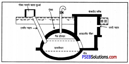 PSEB 7th Class Agriculture Solutions Chapter 11 बायोगैस 1