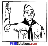PSEB 7th Class Physical Education Solutions Chapter 7 स्काऊटिंग और गाइडिंग 2