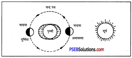 PSEB 7th Class Social Science Solutions Chapter 4 महासागर 4