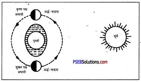 PSEB 7th Class Social Science Solutions Chapter 4 महासागर 5