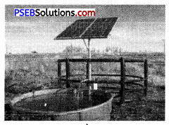PSEB 8th Class Agriculture Solutions Chapter 4 सौर-ऊर्जा (3)