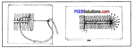 PSEB 8th Class Home Science Practical बटन लगाना और काज बनाना 5