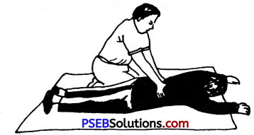 PSEB 8th Class Physical Education Solutions Chapter 1 प्राथमिक सहायता (4)
