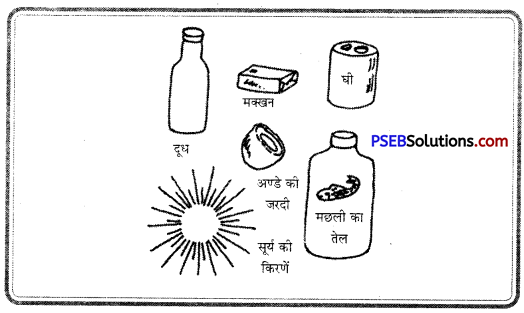 PSEB 8th Class Physical Education Solutions Chapter 3 विटामिन (2)