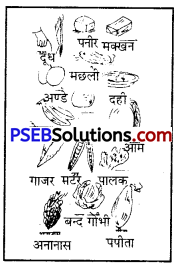 PSEB 8th Class Physical Education Solutions Chapter 3 विटामिन (5)