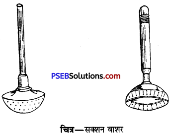 PSEB 9th Class Home Science Solutions Chapter 11 वस्त्र धोने के लिए सामान (3)