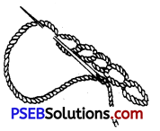 PSEB 9th Class Home Science Solutions Chapter 14 कढ़ाई के टांके प्रयोगी (3)