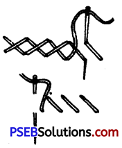 PSEB 9th Class Home Science Solutions Chapter 14 कढ़ाई के टांके प्रयोगी (5)
