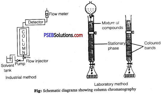 PSEB Solutions for Class 12 Chemistry Chapter 6 General Principles and Processes of Isolation of Elements 4