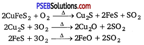 PSEB Solutions for Class 12 Chemistry Chapter 6 General Principles and Processes of Isolation of Elements 6