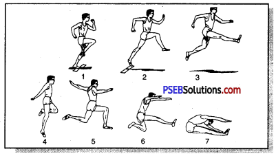 ऐथलैटिक्स (Athletics) Game Rules - PSEB 11th Class Physical Education 9