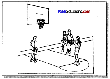 बॉस्केट बाल (Basket Ball) Game Rules - PSEB 11th Class Physical Education 5