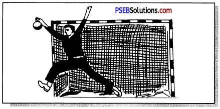 हैंडबाल (Hand Ball) Game Rules - PSEB 11th Class Physical Education 7